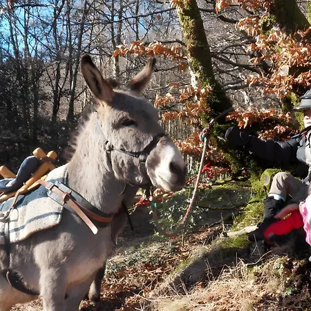Сasa de vacaciones Des Houx
