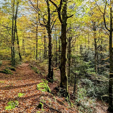 Сasa de vacaciones Des Houx Le Soulié